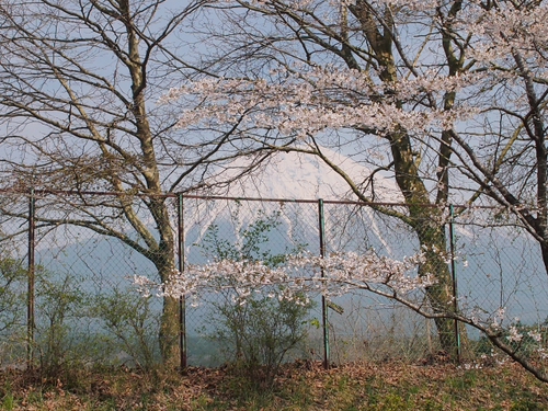 ベタ富士　4月16日の富士山　NO2　　ドライブの合間の・・・・・