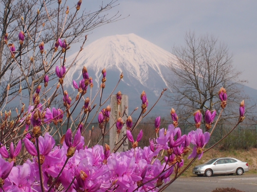 ベタ富士　4月16日の富士山　NO2　　ドライブの合間の・・・・・