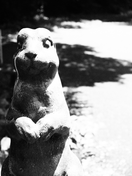 可愛い動物に出会える山の中の静かな橋