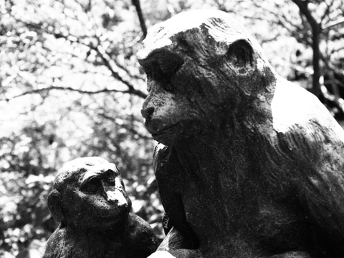 可愛い動物に出会える山の中の静かな橋