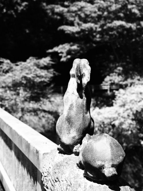 可愛い動物に出会える山の中の静かな橋