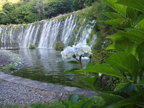 9月4日の花の都公園　清流の里