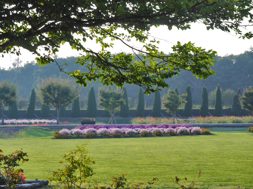 9月4日の花の都公園　清流の里