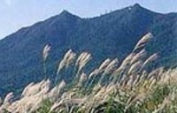 ふるさと筑波