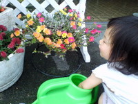 みずやり 2007/07/29 10:34:14