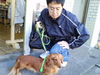 番付表♪ 2007/11/12 10:35:24