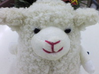 お客さまへ 2007/11/30 15:29:14