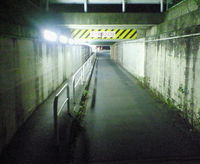 北から南への近道 2008/07/29 21:31:29