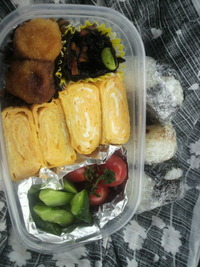 今日の弁当！ 2011/06/23 20:09:21