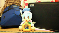 我が家に…… 2008/11/26 01:08:00
