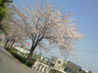 暑い〜 2009/04/09 12:24:50