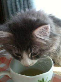 Coco茶ん 2011/01/28 12:11:01