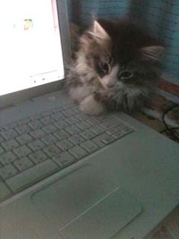 今日は人間ドッグ 2011/01/27 18:29:22
