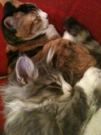 ポートアクセス・システム 2011/03/04 16:04:38