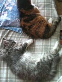 今、姪がニュージーランドに留学中 2011/02/24 10:37:23