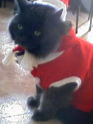 Happy X'mas　ピアノの掛川！！！ 2007/12/17 23:12:18
