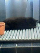 今年もありがとうございました！ 2007/12/30 23:02:42