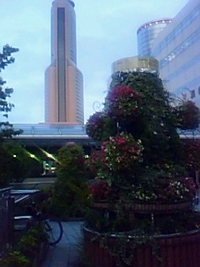 今日も浜松に 2009/08/19 18:47:37