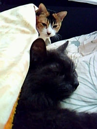 久しぶり〜 2009/12/05 14:13:32