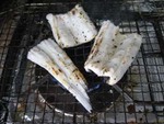 夜釣りに御前崎へ