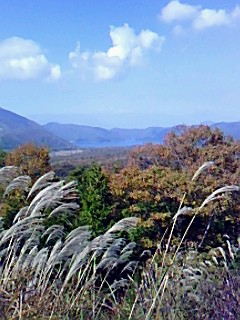 お墓参りに行きました。