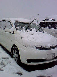 信じられない豪雪 2010/03/11 12:42:43