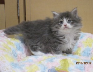 今年１年ありがとうございました！