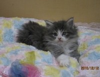 今年１年ありがとうございました！ 2010/12/29 11:46:27