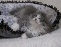 明けましておめでとうございます。 2011/01/02 13:32:51