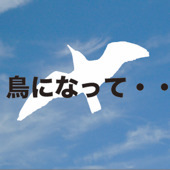 メリー・クリスマス！ 2009/12/24 14:00:12