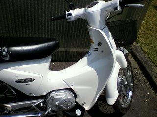 白いスーパーカブ