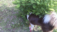 大忙し 2011/07/06 21:33:02