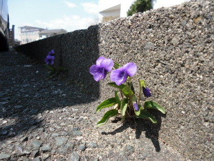 ４月に突入。。。。