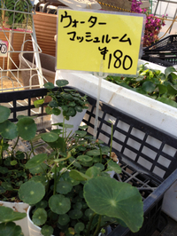 謎解き