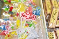 【おかしのキャンデイ】本日1/31(火)臨時営業のお知らせ。 2017/01/31 08:30:00