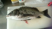 やっと投稿できます 2012/08/30 19:22:16