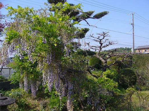 暑かった！　　「ＶＭ研究会」より
