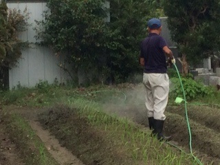 10月1日の記事