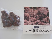 おもしろお菓子