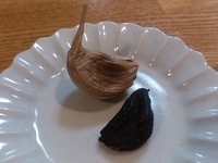夜、動く