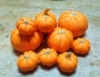 こんな季節にハロウィンのカボチャ作り 2019/05/09 21:14:00