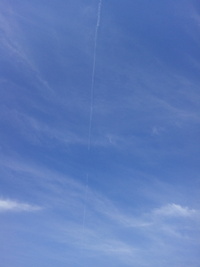 いいお天気♪ 2018/08/18 08:24:48
