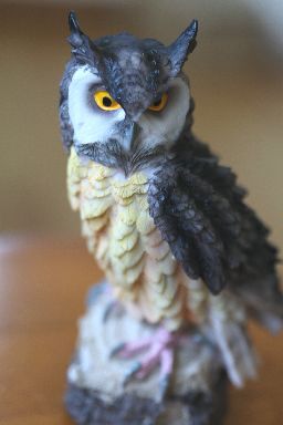 鳥よけグッズ