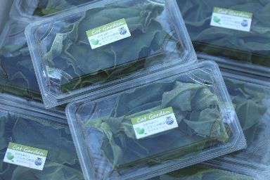 袋井市のふるさと納税返礼品