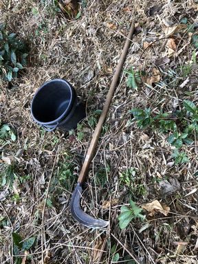 タケノコ山の整備