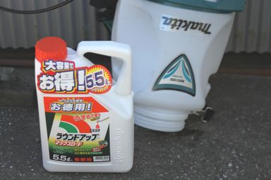 今シーズンはもう７回目