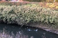 お気に入りのコース