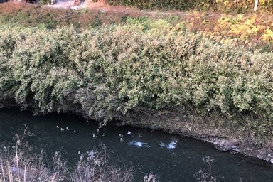 お気に入りのコース