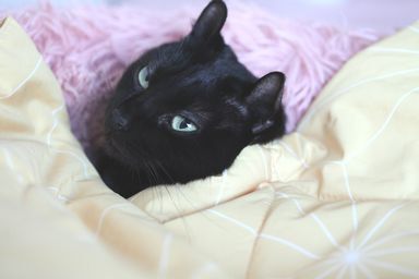 もうちょっと付き合うね