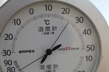 ハウスの中はもう夏日